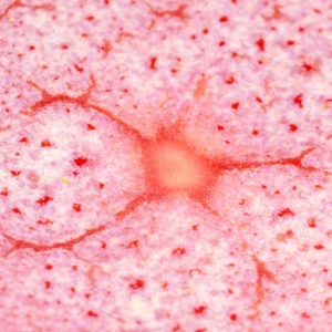 Glazura CR17 béžová (1ks = 472ml) novinka